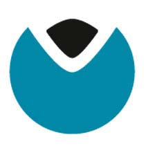 vienom Logo